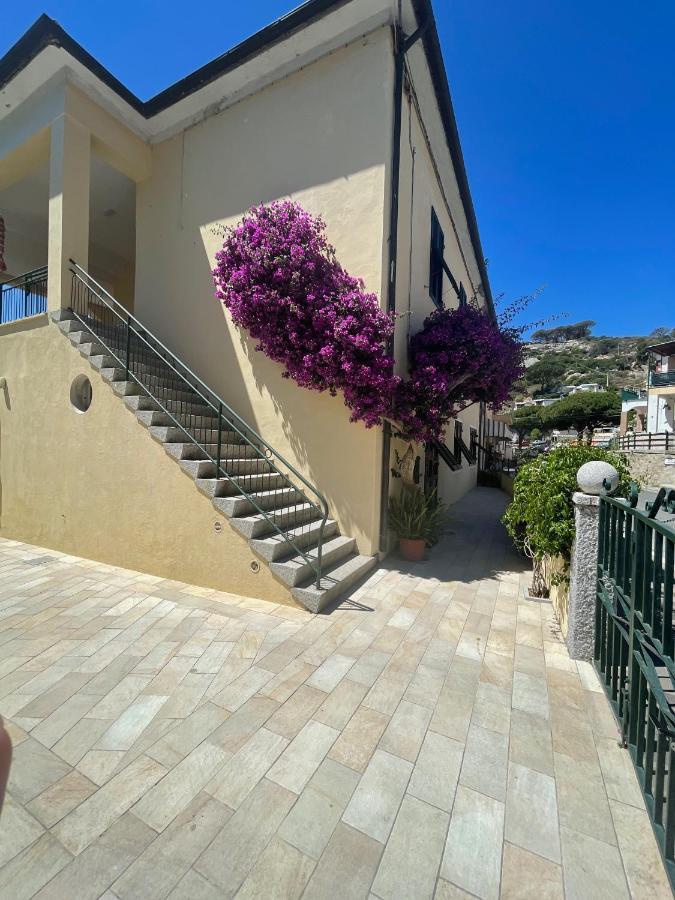 B&B L'Albero Di Melograno Seccheto Exterior photo