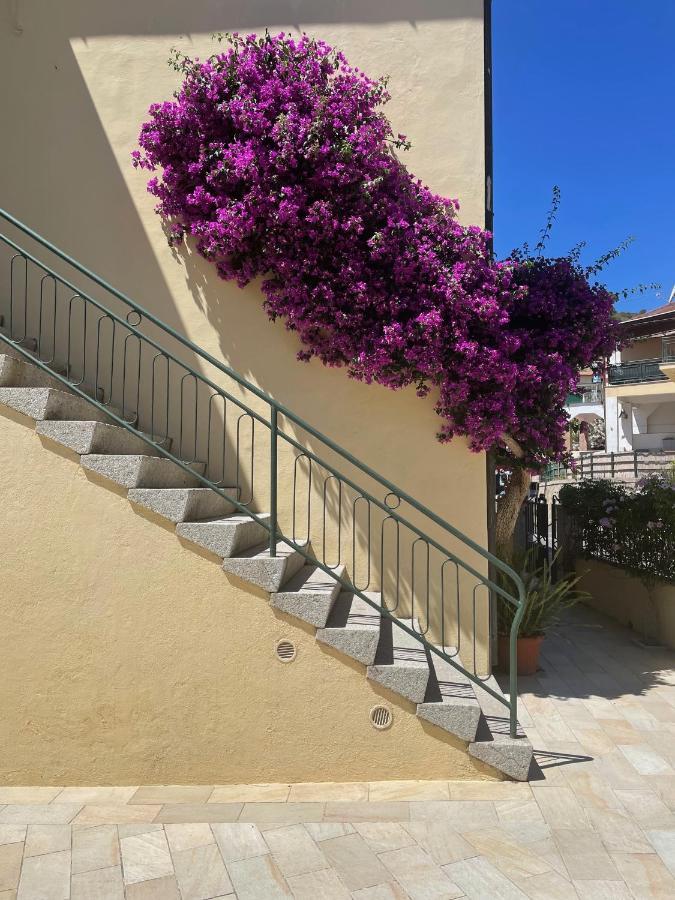 B&B L'Albero Di Melograno Seccheto Exterior photo
